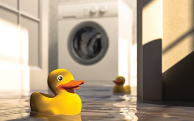 How Professional Mold Removal Safeguards Workplaces, Protects Health, and Ensures Business Continuity