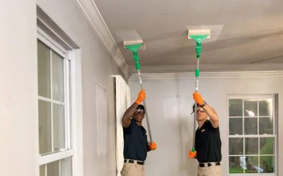 Complete Property Recovery Guide: Professional Restoration & Mold Solutions