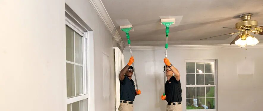 restoration and mold services in Northern Virginia