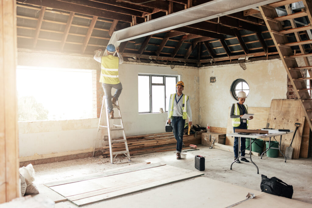 restoration and mold sanation services