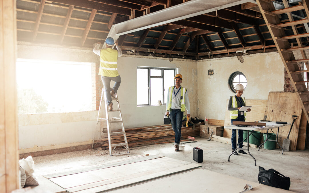 restoration and mold sanation services
