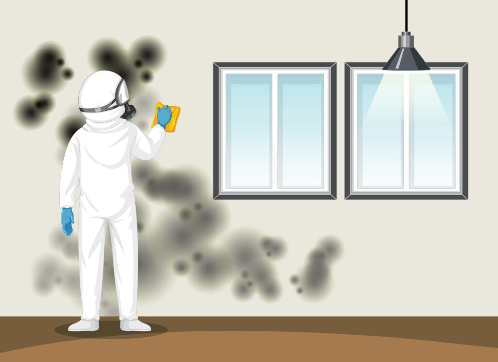 Restoration and Mold Services Company
