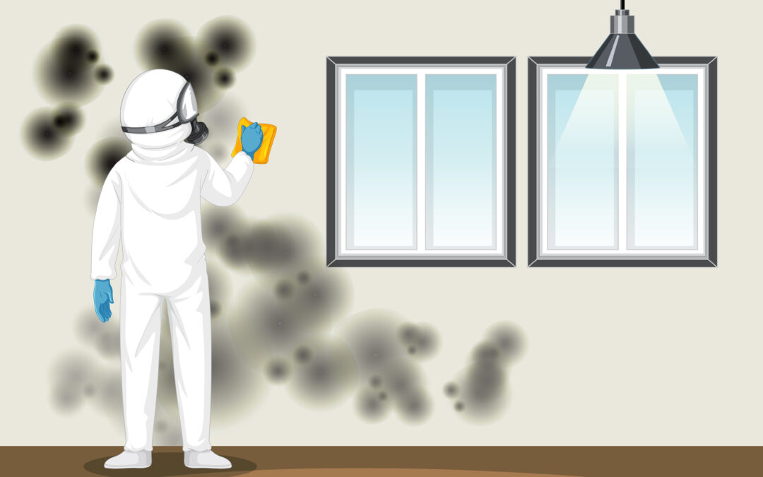 Restoration and Mold Services for Safe and Complete Property Recovery