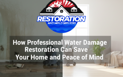 How Professional Water Damage Restoration Can Save Your Home and Peace of Mind