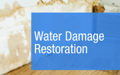 Understanding How Professional Restoration Protects Buildings, Health, and Business Operations